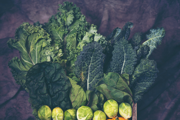 Horta de Varanda: Colhendo Verduras Frescas